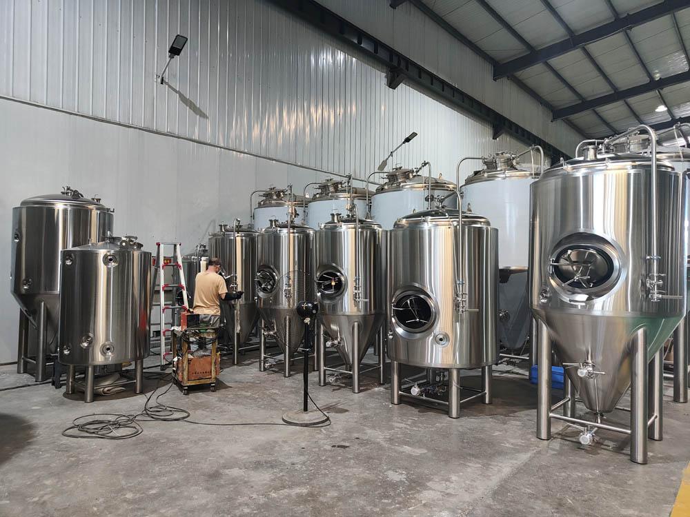 5 HL Nanobrewery System